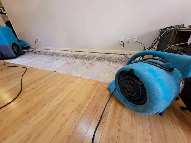Professional Basement Flood Cleanup technician working in Brighton, IL